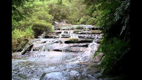 سورة المنافقون الشيخ ناصر الغامدي