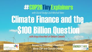 Celebrity #COP26TinyExplainer – Climate Finance and the the $100 Billion Question Profile