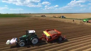 Plantation des pommes de terre