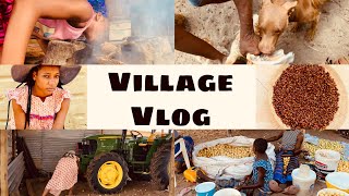 VILLAGE VLOG || HOME IN OHANGWENA REGION || AFRICAN 🛖🥰