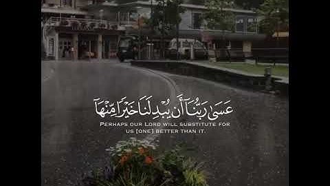 سورة القلم﴿عَسَىٰ رَبُّنَا أَن يُبْدِلَنَا خَيْرًا مِّنْهَا إِنَّا إِلَىٰ رَبِّنَا رَاغِبُونَ (٣٢) ﴾