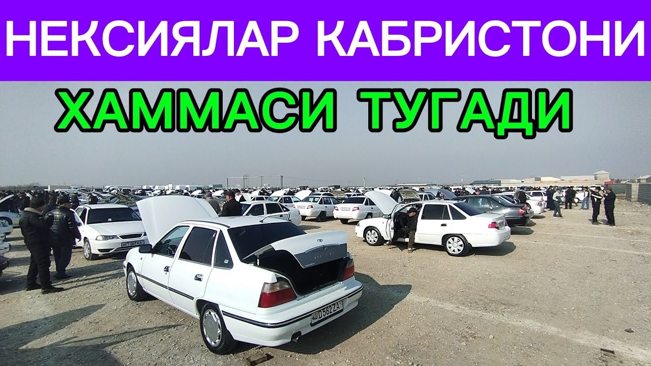 НЕКСИЯЛАР НАРХИ ХАРИДОР ЙУК 😱2026