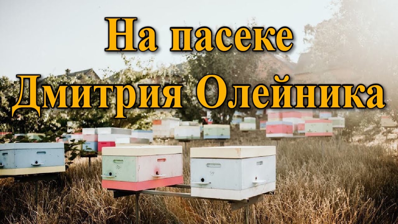 На пасеке Дмитрия Олейника /#ПОДОРОЖПАСІКАМИУКРАЇНИ