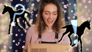 Unboxing Custom Breyer Foals!  ⋮  Milo & Otis