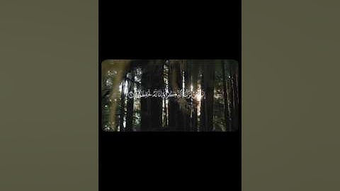 إنا نحن نزلنا الذكر وإنا له لحافظون ، #الشيخ_محمود_خليل_الحصرى #تلاوات_نادرة #المصحف