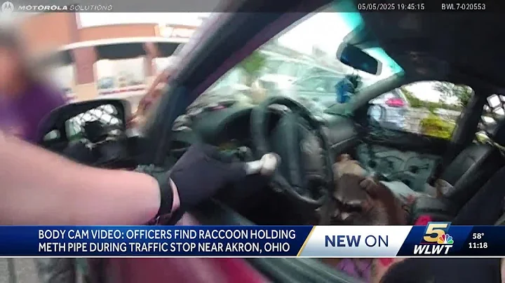 Police bodycam video shows raccoon with meth pipe during Ohio traffic stop