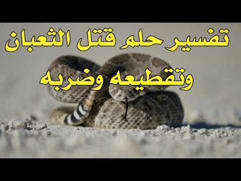 تفسير حلم قتل الافعى تقطيع وضرب الحية في حلم