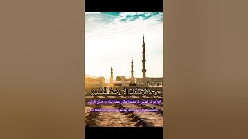 ﴿ وَمَا أَرْسَلْنَاكَ إِلَّا رَحْمَةً لِّلْعَالَمِينَ﴾[ سورة الأنبياء: 107]#shortvideo #viral
