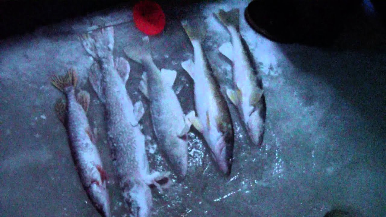 H3 Hooligan Hawg Hunters - Lake Winnipeg Ice Fishing Walleyes January 2013