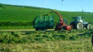 silage 2009