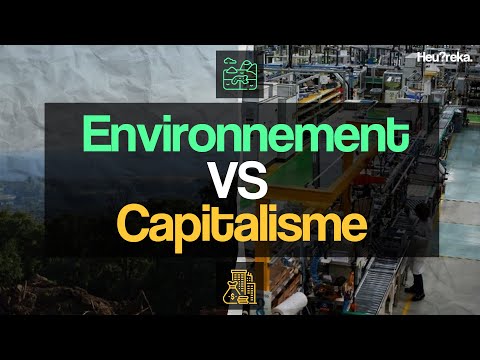 Le capitalisme peut-il faire face aux défis environnementaux ? - Heu?reka