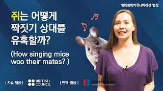 쥐는 어떻게 짝짓기 상대를 유혹할까? | 페임랩 (How singing mice woo their mates)