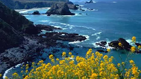 Βασιλης Μητροπουλος   alo alo  sou tilefono   vasilis mitropoulos