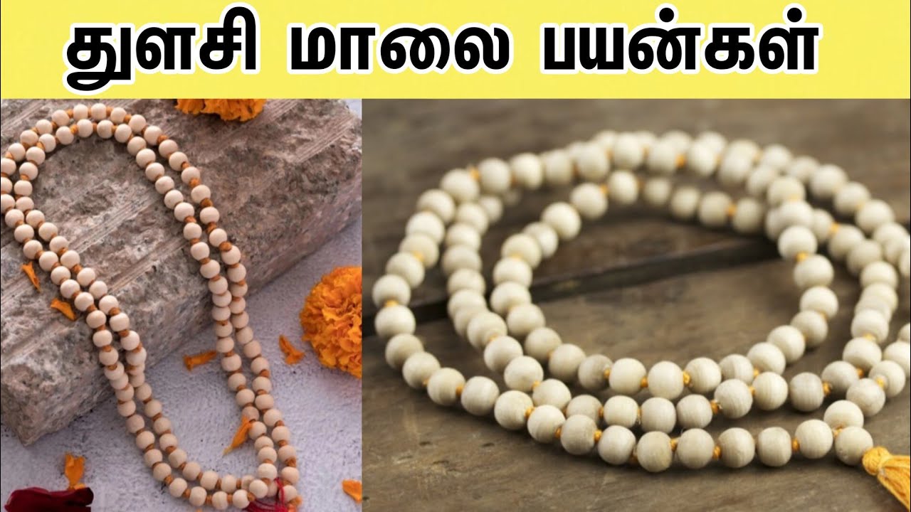 Benefits of Tulsi Mala துளசி மாலை பயன்கள் YouTube