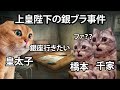 【銀ブラ事件】上皇陛下の生涯最大の冒険 #猫ミーム