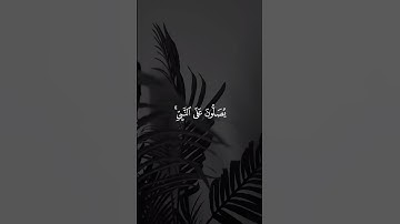 تـِلاوة مِـن سُـورة الأحزاب | القارئ : أنس الميمان