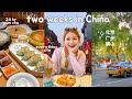 Life in china  everything i ate  claypot rice 24hr yum cha street food durian pizza etc