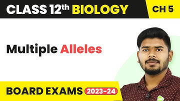 Multiple Alleles - Principles of Inheritance and Variation | Class 12 (2022-23)