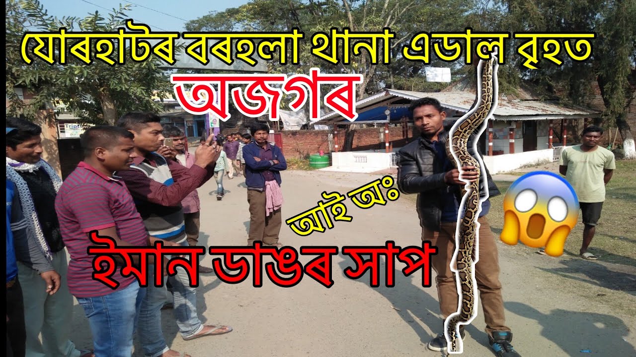 big Python in Jorhat Borhola Police Station