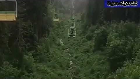 عبد الرحمن مسعد/ اجمل حالات وتس اب ومقاطع دينيه/ تلاوه عذبه وهادئه ارح مسمعك