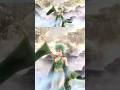 Final Fantasy IV - Opening Part 2 | FFIV Opening #finalfantasyiv #finalfantasy