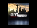 Greys Anatomy Music S09e24 Without You mp3