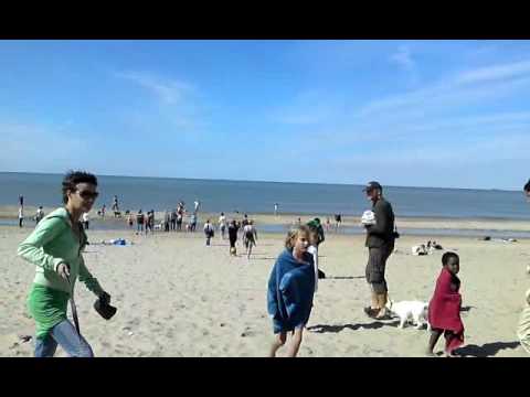 Engelse Bulldog Hyves Wandeling 2010 deel 3 pets bd