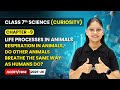 Respiration in Animals (Part 2 ) | Ch 9 | Class 7 Science Curiosity | CBSE 2025-26
