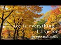 【新曲】Love is everything I live for