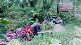 NIIS || CAMPING GROUND WARAAS, Pangalengan, BANDUNG SELATAN