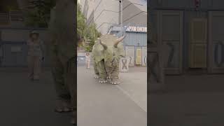 Is That a Triceratops?! | T-Rex Ranch Dinosaur Videos for Kids