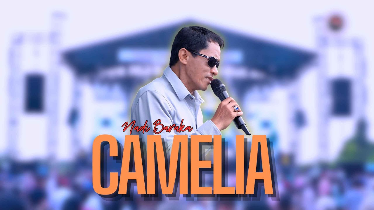 CAMELIA - NADI BARAKA |  Mardatila Group