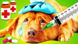 Fun Animals Care Kids Games | Baby Play Little Pet Doctor Game | Poor Puppy's Rescue & Care screenshot 3