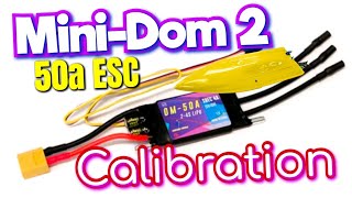 आरसी बोट निर्देशात्मक वीडियो: मिनी-डोम II 50A ईएससी कैलिब्रेशन screenshot 1