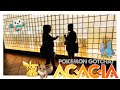 Sandy ft meikoacacia pokemon gotcha mv  bump of chicken  voxdive  cover