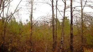 3001 NW Sallywhite Road video tour
