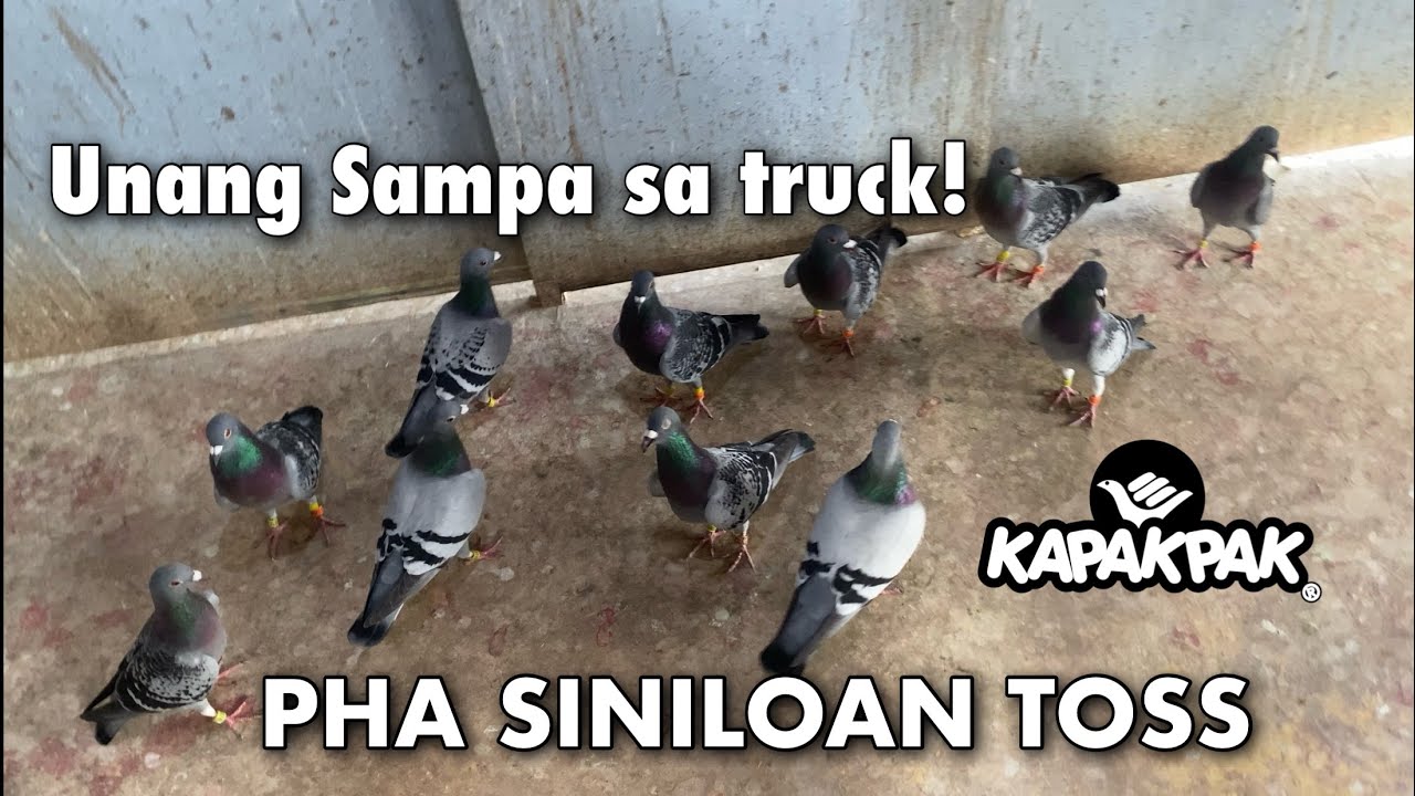 TRUCK LOADED. MISSION SET. PHA SINILOAN TOSS! LET’S GO!🔥🕊️🚛