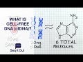 What Is Cell-Free DNA (cfDNA)? - Seq It Out #19