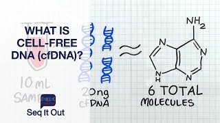 What Is Cell-Free DNA (cfDNA)? - Seq It Out #19