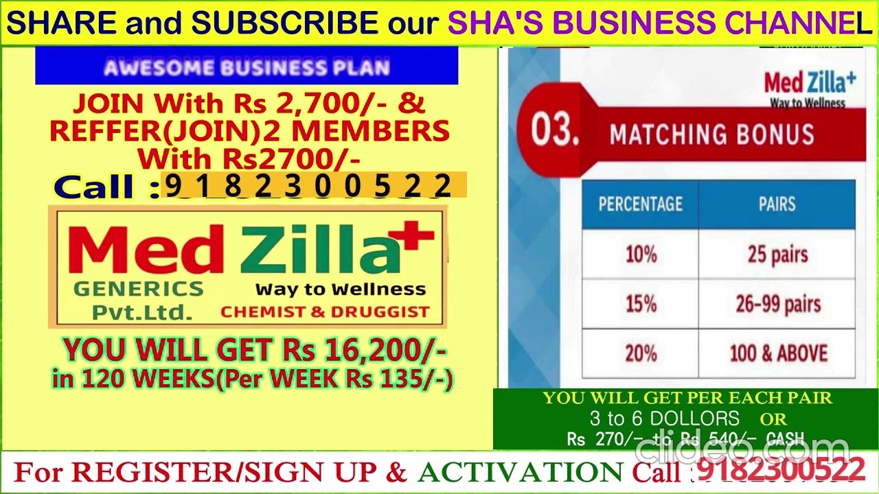 MED ZILLA Business plan