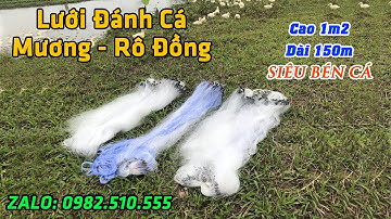 Lưới Đánh Cá - Mương, Cá Rô Đồng . Cao 1m2 Dài 150m - Mắt Từ 2cm đến 10cm - Zalo 0982.510.555