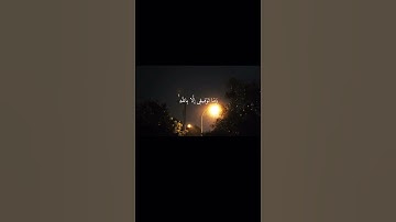 سورة هود الآية ٨٨