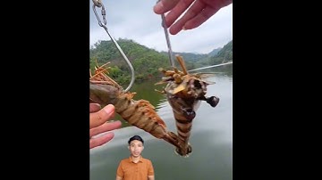 Câu cá khổng lồ sông mekong #cacconvat #docla #fishing