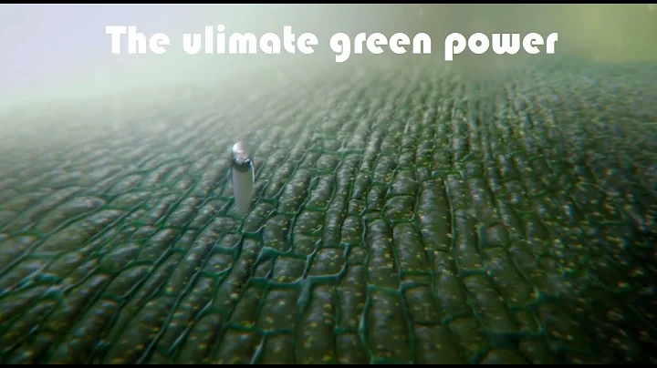The ultimate green power Cosmos A Spacetime Odyssey episode 6 part 3