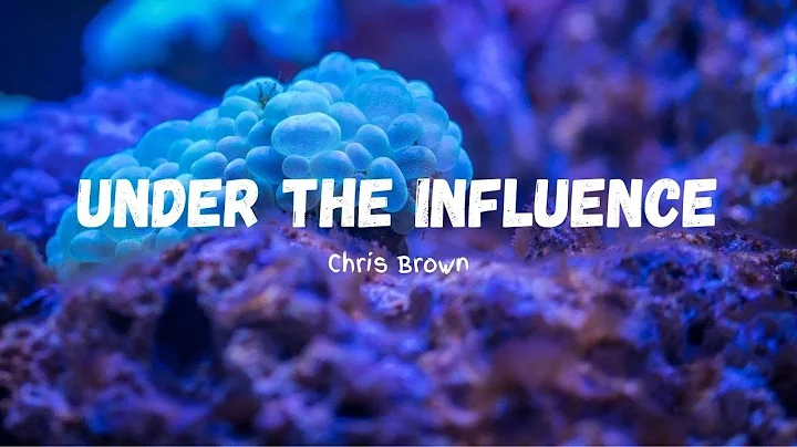 Chris Brown  Under the Influence (LYRICS)  1 Hour Loop#6879