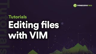 Editing files with VIM