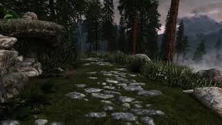 2019 Modded Skyrim Special Edition ENB