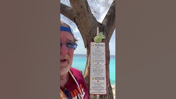 WHY IS THIS TREE 🌳 SO POISONOUS ☠️?