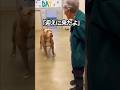 迎えに来たよ、その一言で。