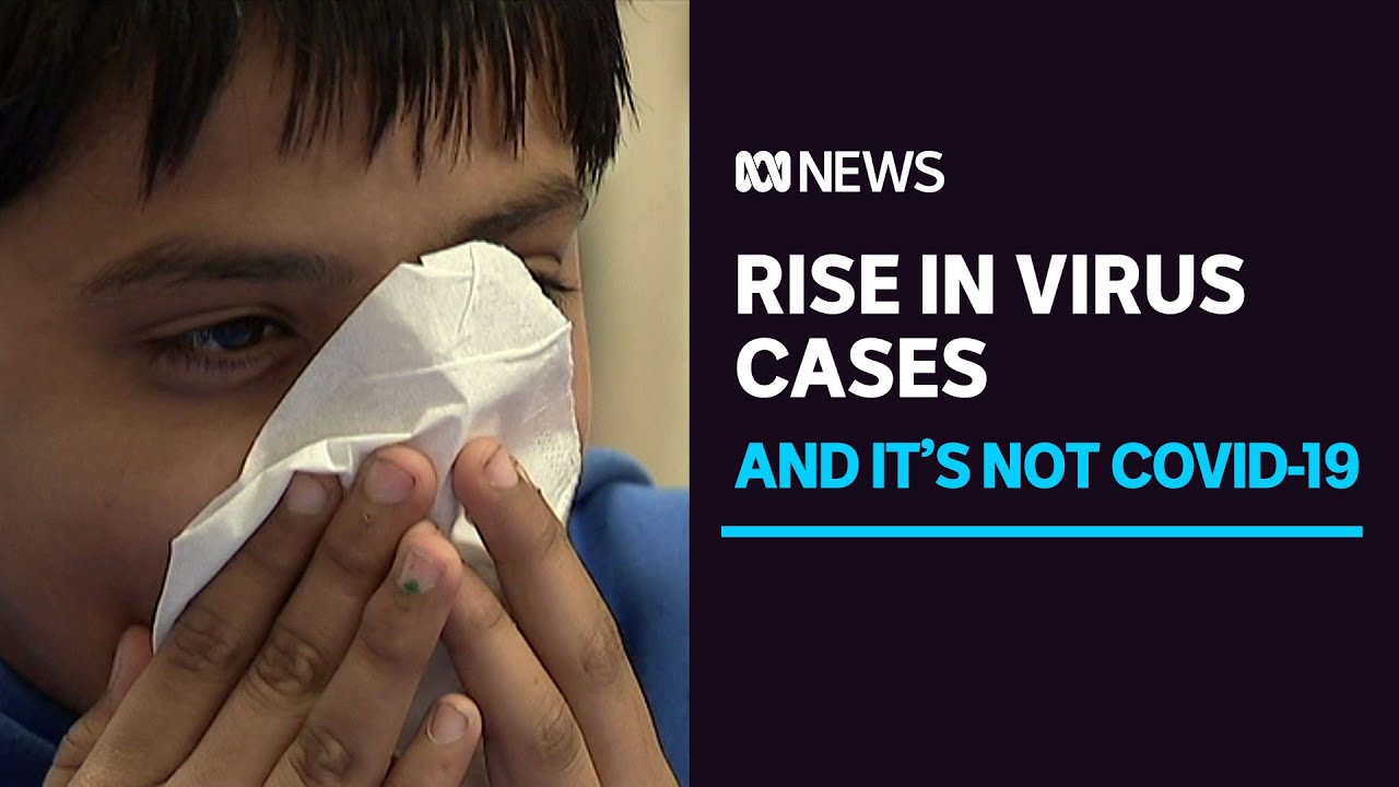 Noticed More People Getting Sick At The Moment Abc News Youtube